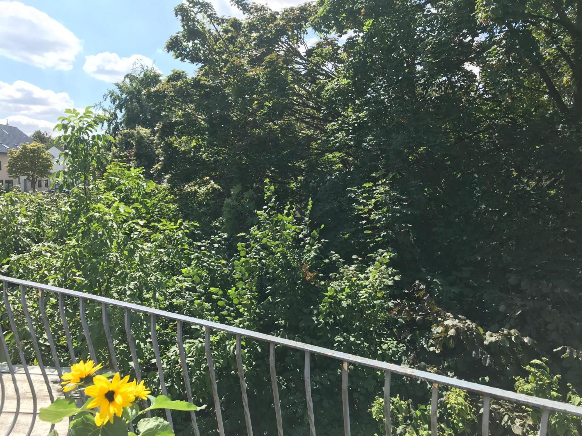 Gemuetliche Mit Balkon, Verkehrsguenstig Gelegen Appartement *